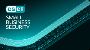 ESET Small Business Security 24 objects 1 year.